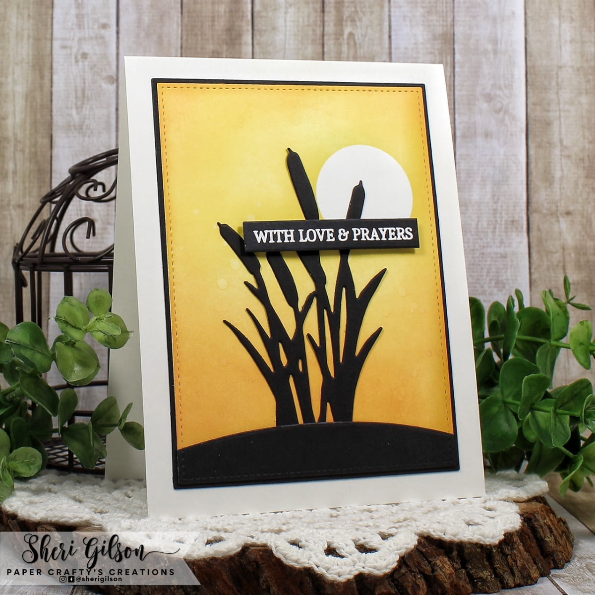 Cattails Die
