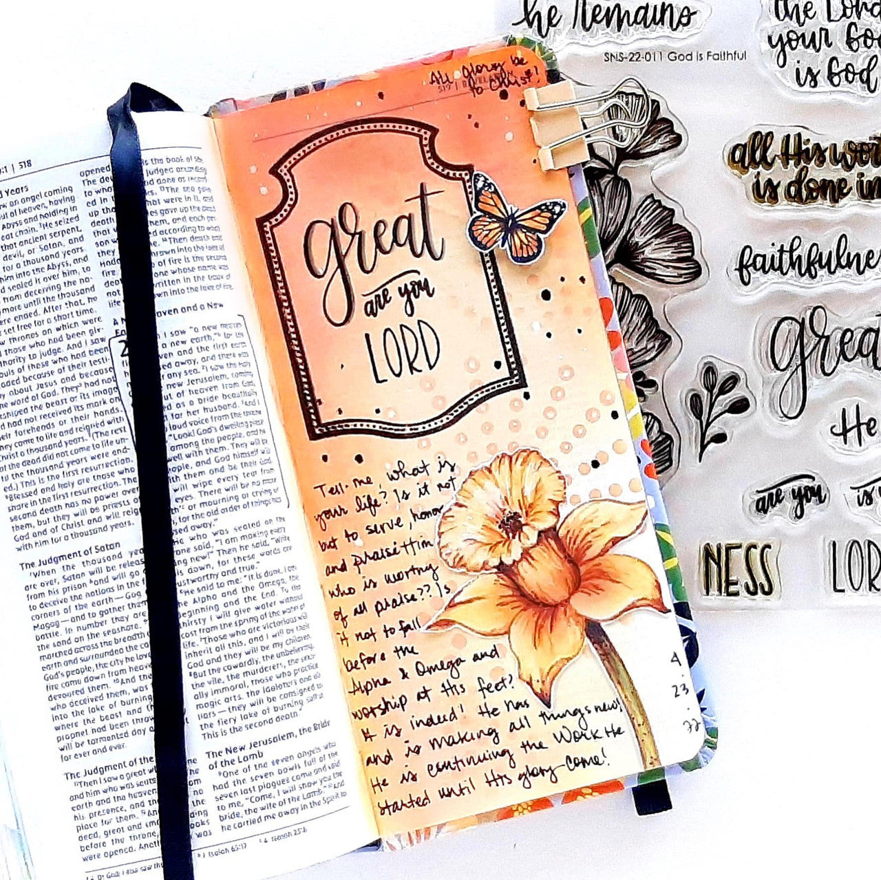 Decorative Frames Clear Stamp Set