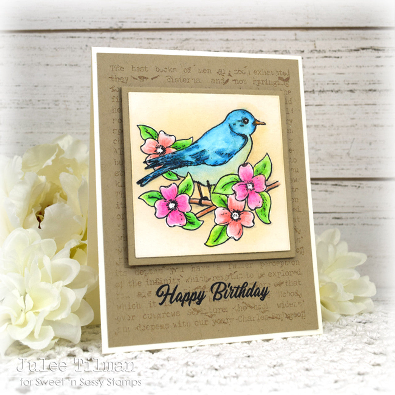 Beautiful Birds Clear Stamp Set
