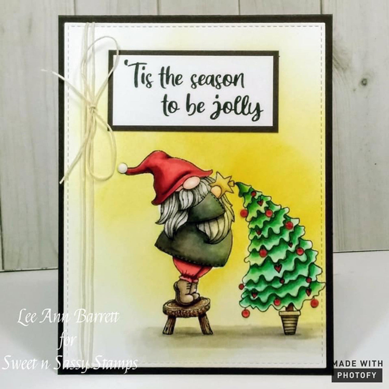 Christmas Gnomes Clear Stamp Set