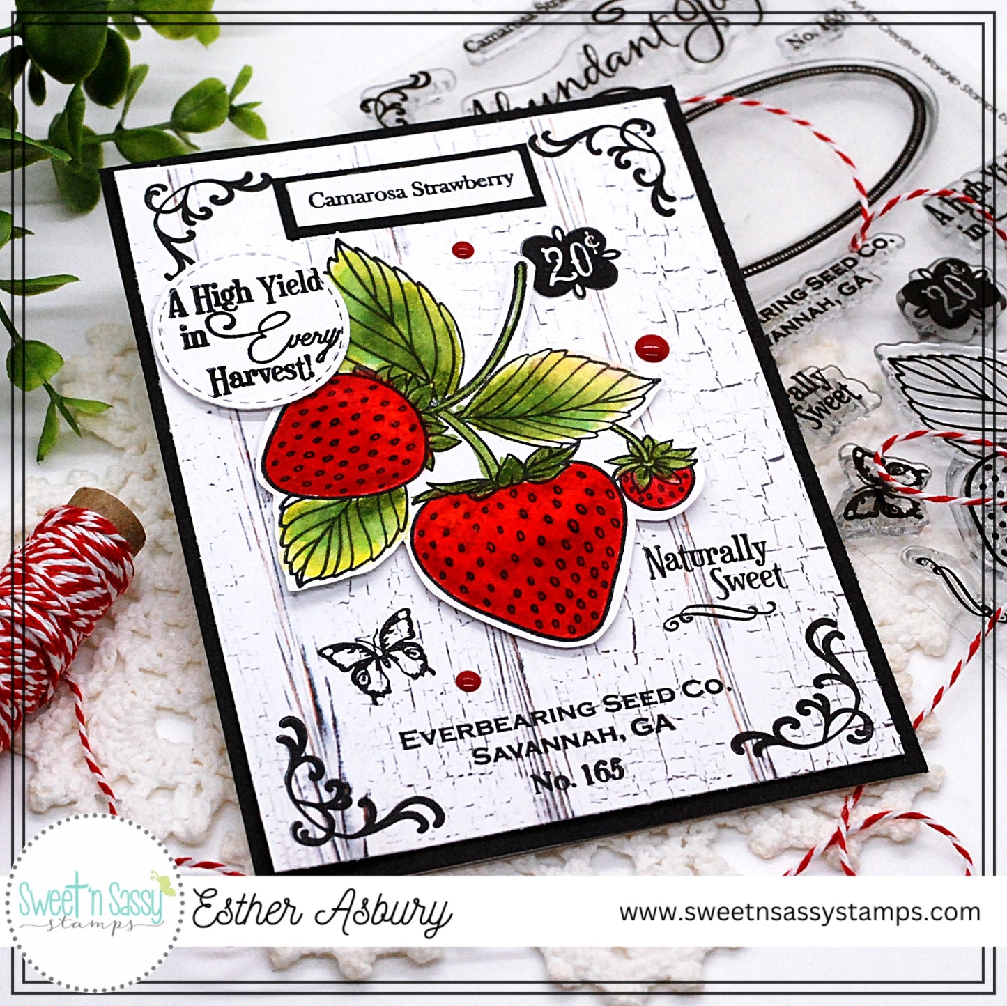 Vintage Strawberry Seed Packet Clear Stamp Set