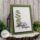 Heartfelt Thoughts Clear Stamp Set