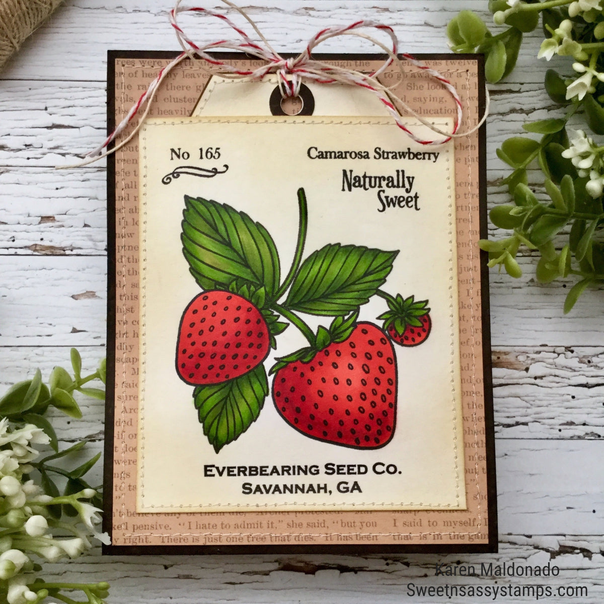 Vintage Strawberry Seed Packet Clear Stamp Set
