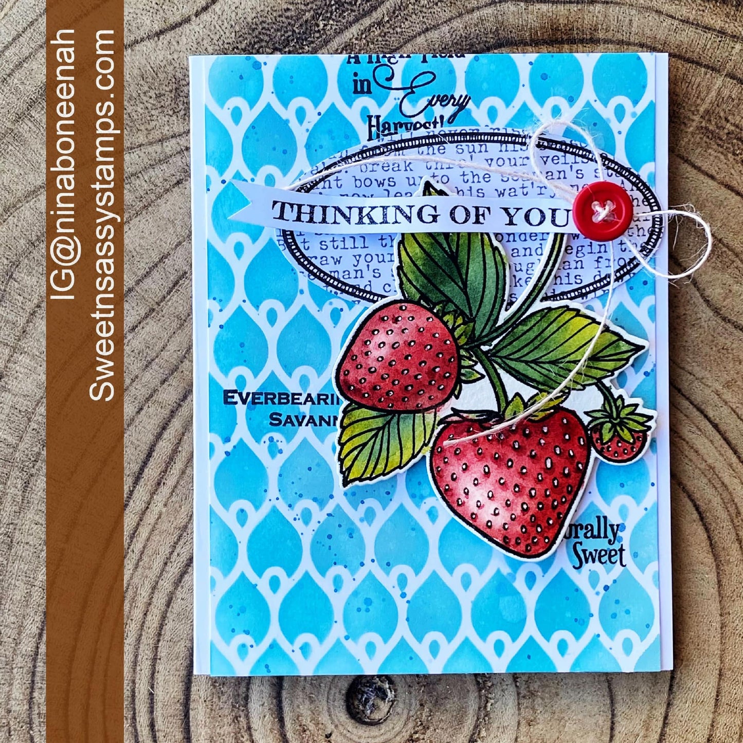 Vintage Strawberry Seed Packet Clear Stamp Set