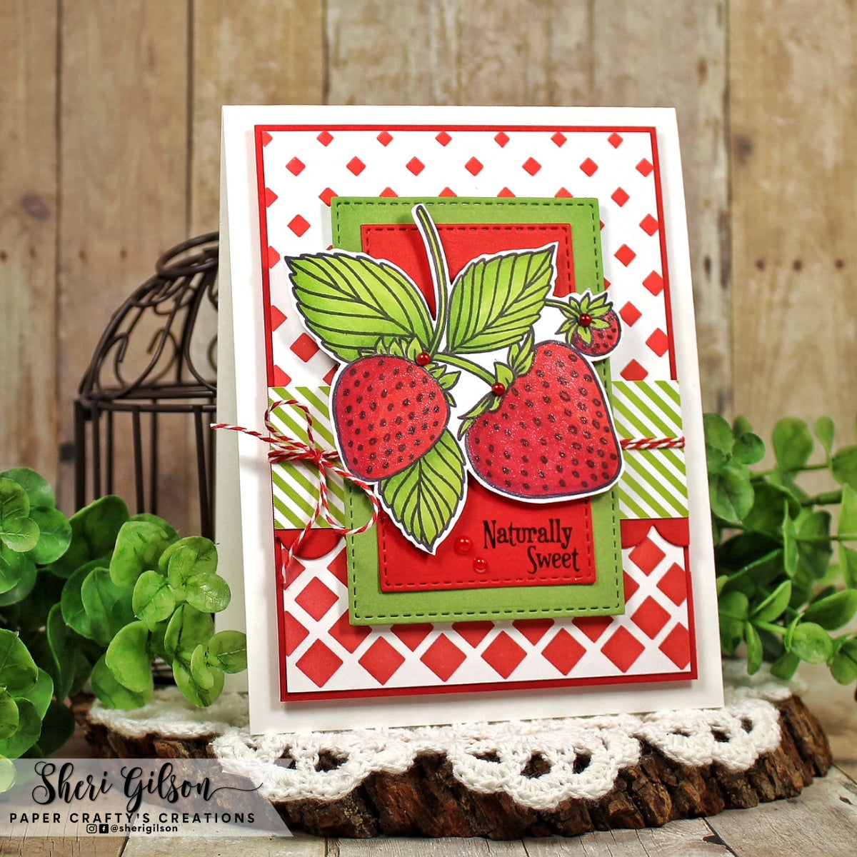 Vintage Strawberry Seed Packet Clear Stamp Set