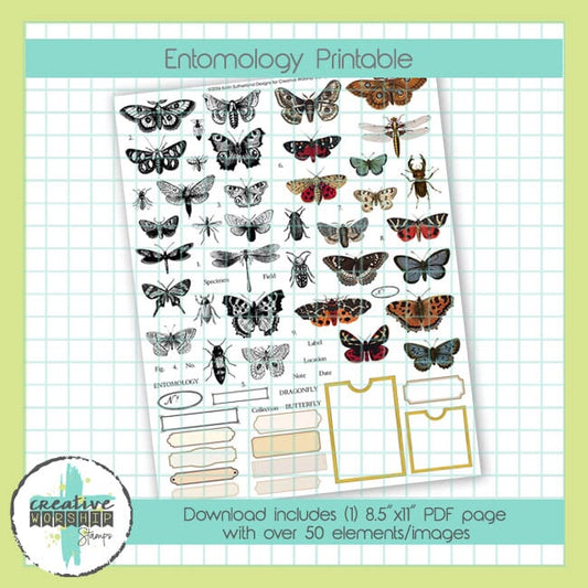 Entomology Printable PDF
