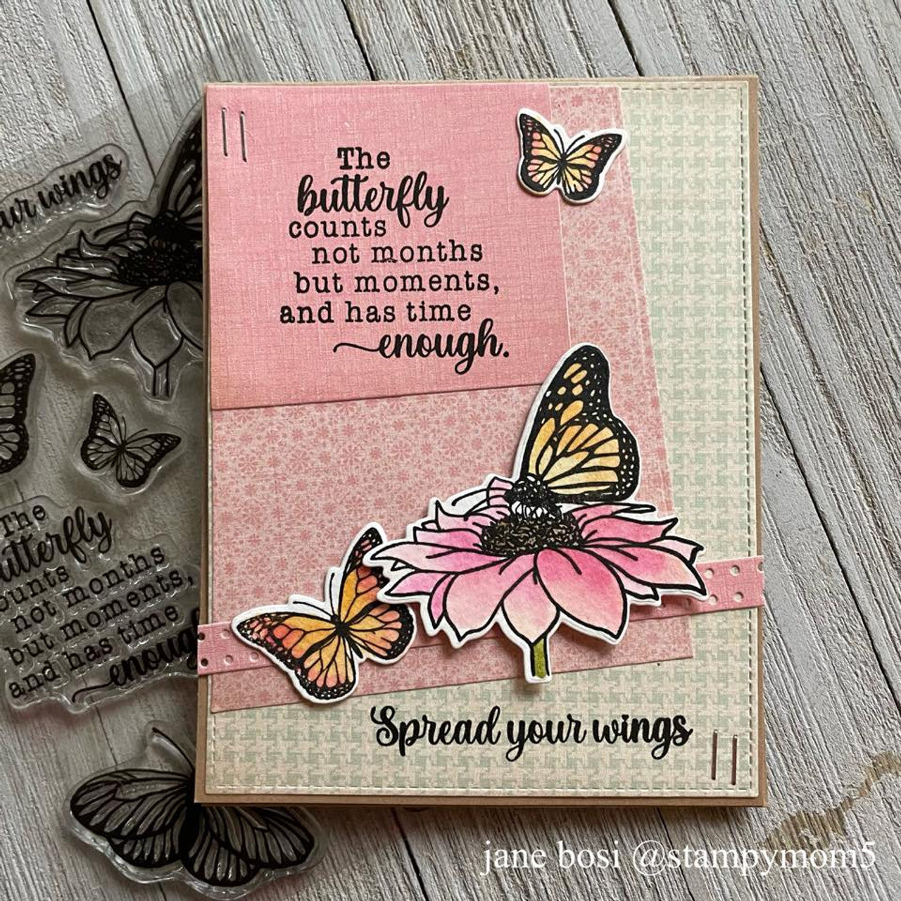 Spread Your Wings Clear Stamp Set