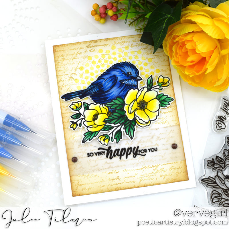 Song Birds Stamp & Die Bundle