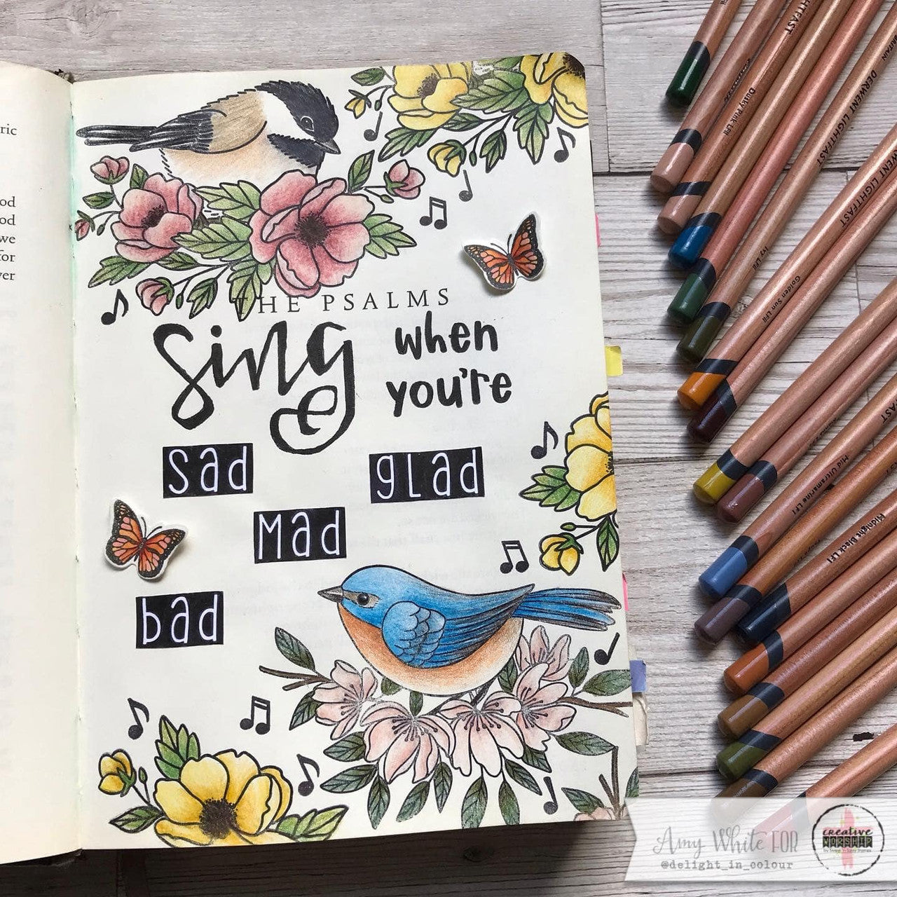 Song Birds Clear Stamp Set