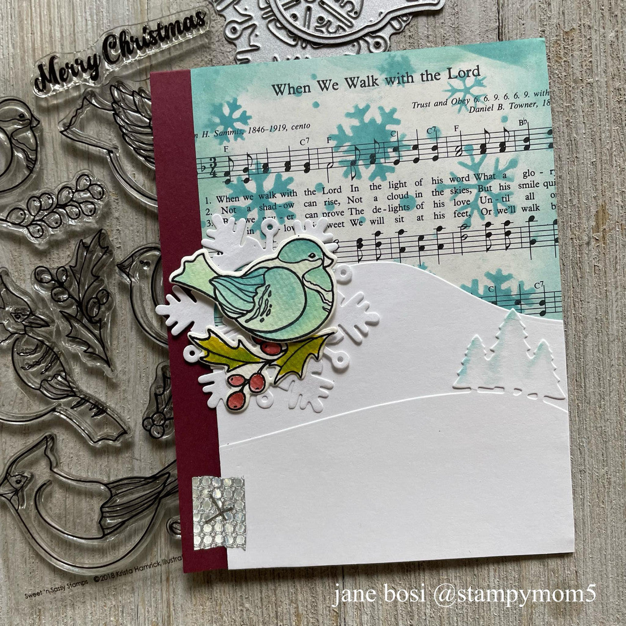 Winter Birds Clear Stamp Set