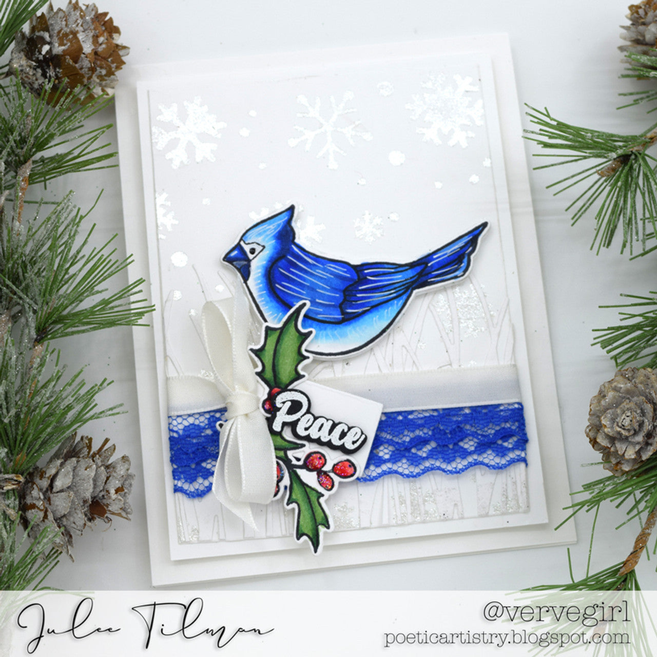 Winter Birds Clear Stamp Set