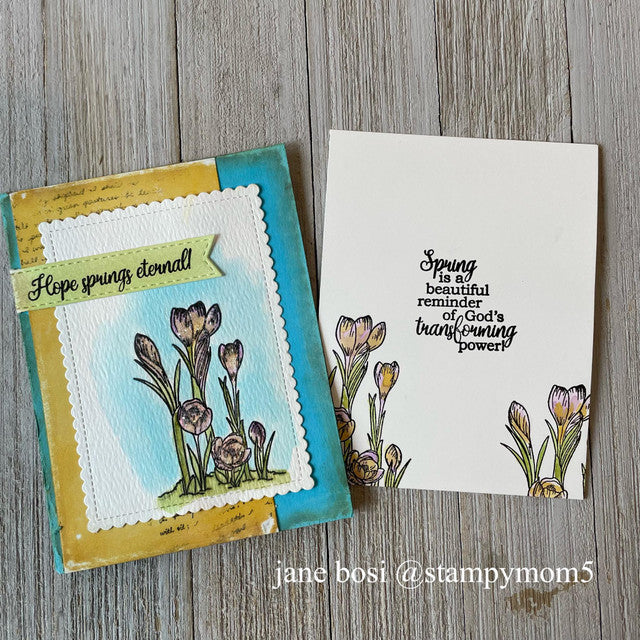 Spring Hope Clear Stamp Set