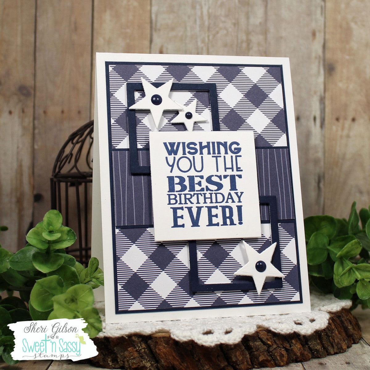 Birthday Guy Clear Stamp Set