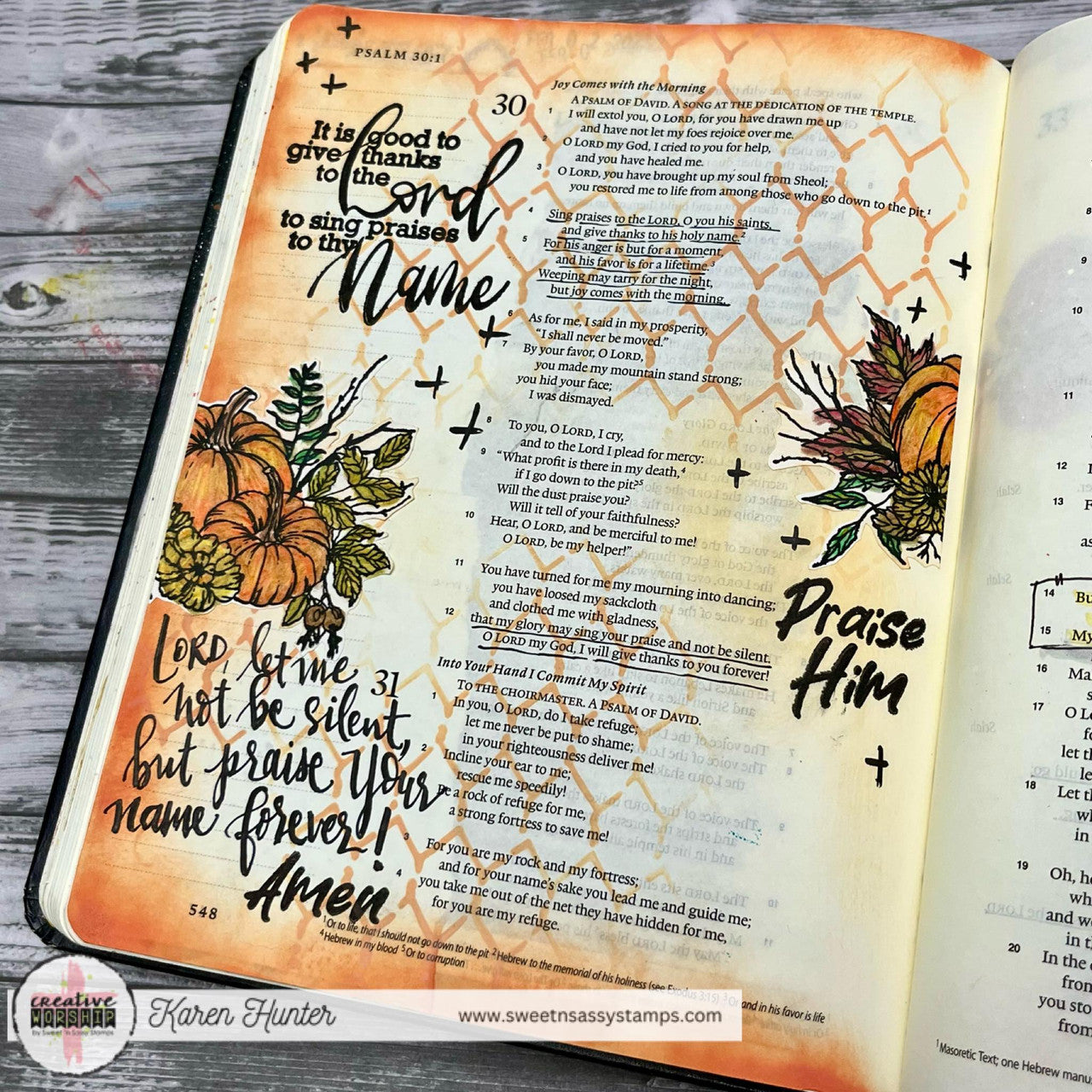 Autumn Beauty Clear Stamp Set