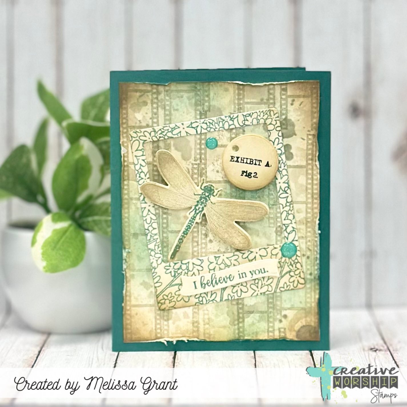 Picture This Clear Stamp Set