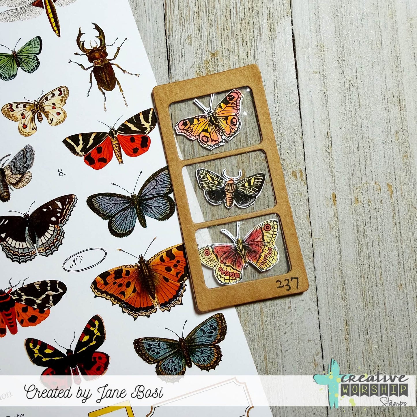 August 2026 New Release Bundle With BONUS Free Printable