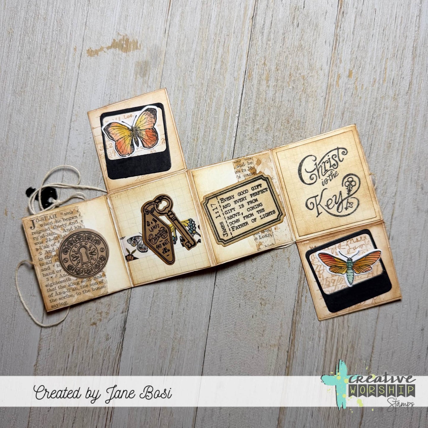 Entomology Elements Die Set