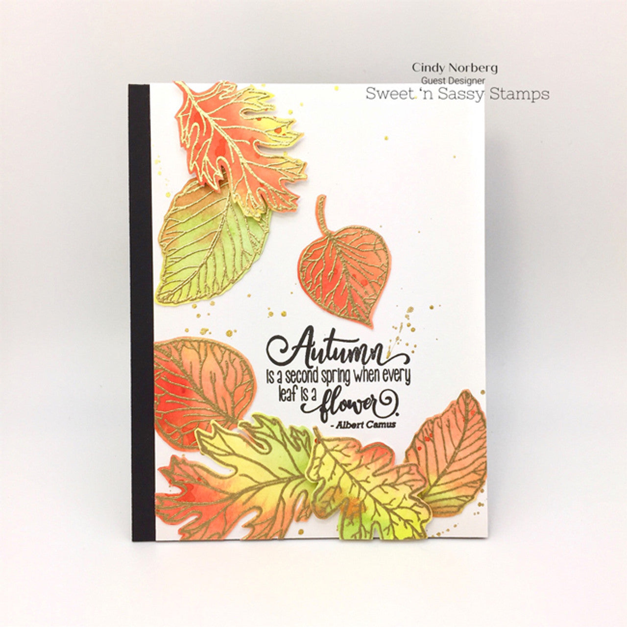 Autumn Splendor Clear Stamp Set