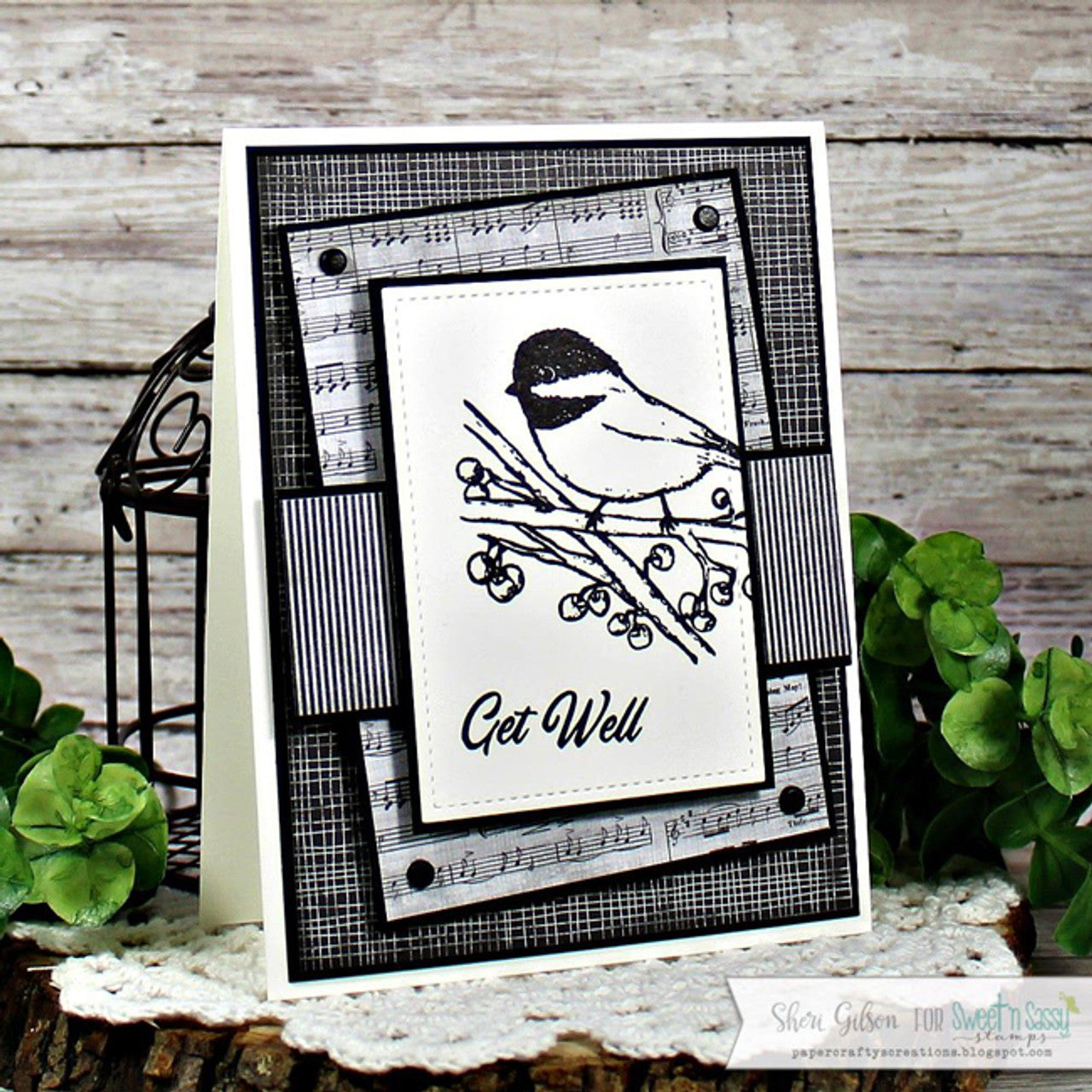 Beautiful Birds Clear Stamp Set