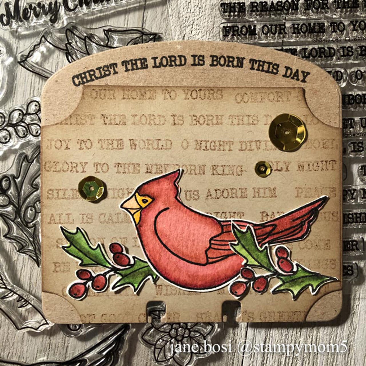 Winter Birds Clear Stamp Set