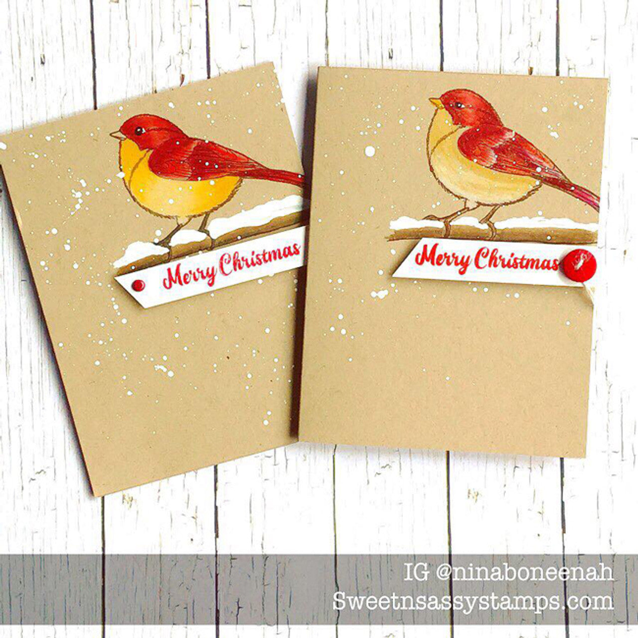 Winter Birds Clear Stamp Set