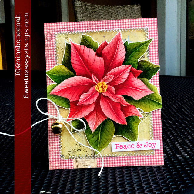 Poinsettia Greetings Clear Stamp Set