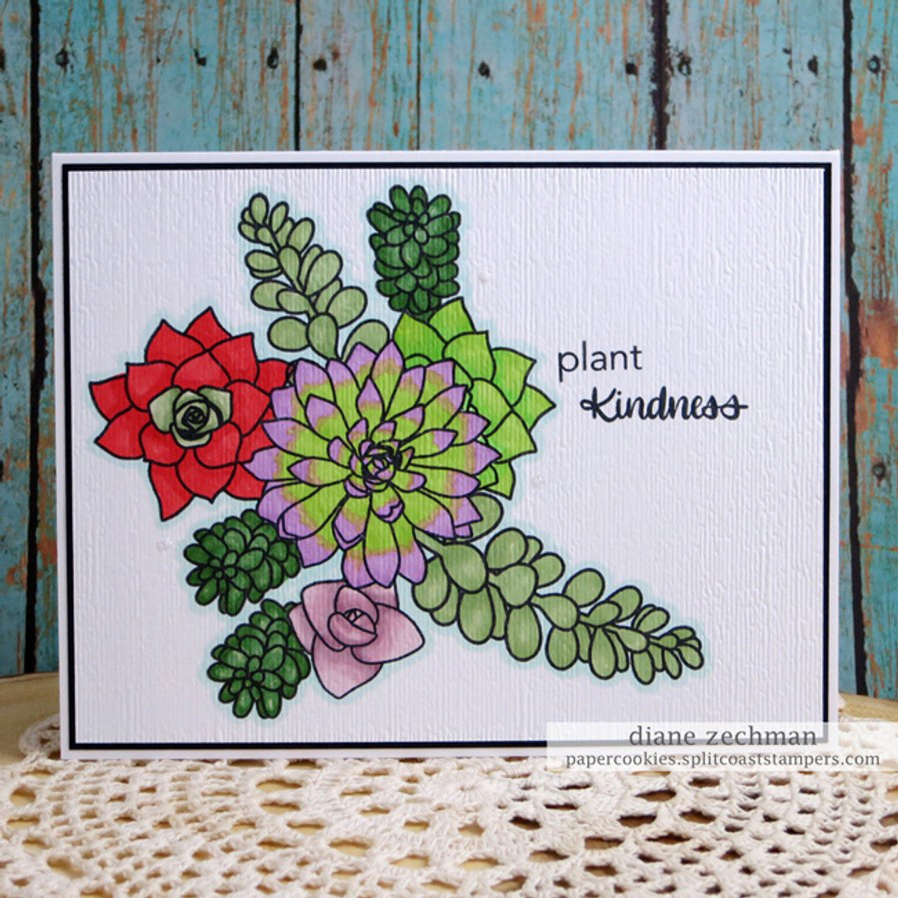 Succulents Clear Stamp Set