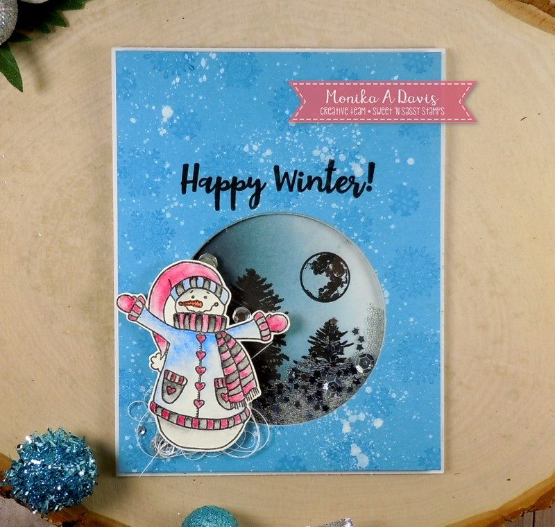 Crazy About Snowmen Clear Stamp Set